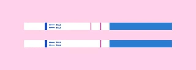 Test d'ovulation deux bandelettes montrant un résultat négatif et un résultat positif pour détecter l’ovulation
