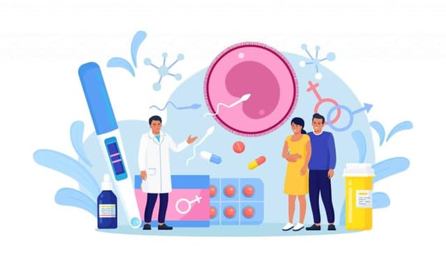 Parcours FIV avec couple et médecin en centre PMA expliquant les étapes de la fécondation in vitro