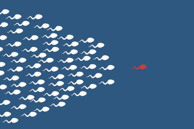 fertilité masculine illustrée par des spermatozoïdes se déplaçant sur fond bleu
