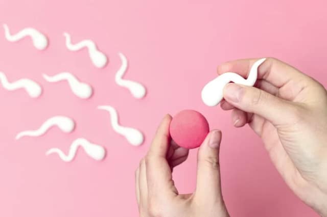 insémination artificielle représentée par des spermatozoïdes et un ovule sur fond rose