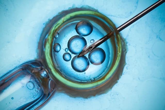taux réussite insémination illustré par une procédure de fécondation en laboratoire