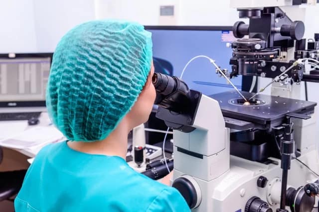 insémination avec donneur réalisée en laboratoire par un embryologiste
