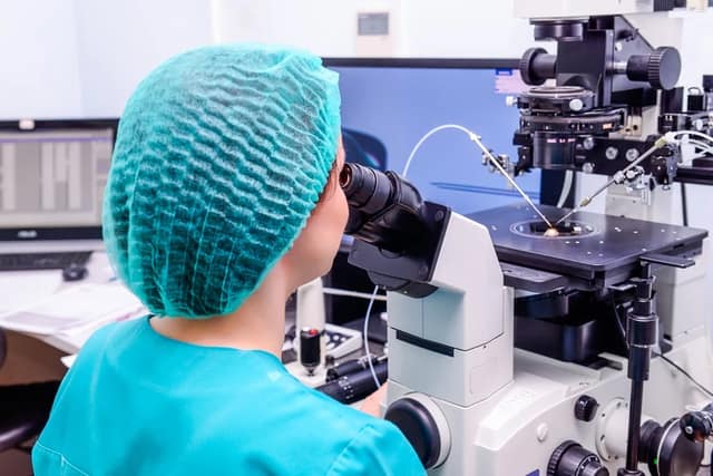 insémination avec donneur réalisée en laboratoire par un embryologiste