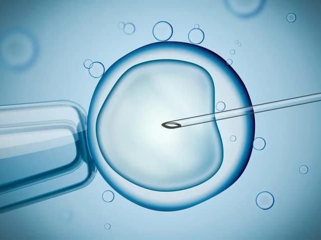 Vue microscopique d'une injection d'ovocyte en laboratoire illustrant le taux de réussite FIV