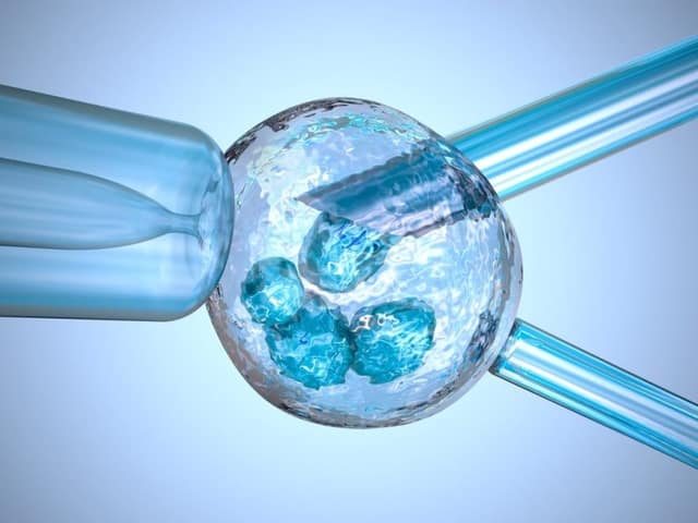 Pipette FIV pour insémination artificielle en laboratoire illustrant technique FIV ICSI de fécondation in vitro avec injection intracytoplasmique