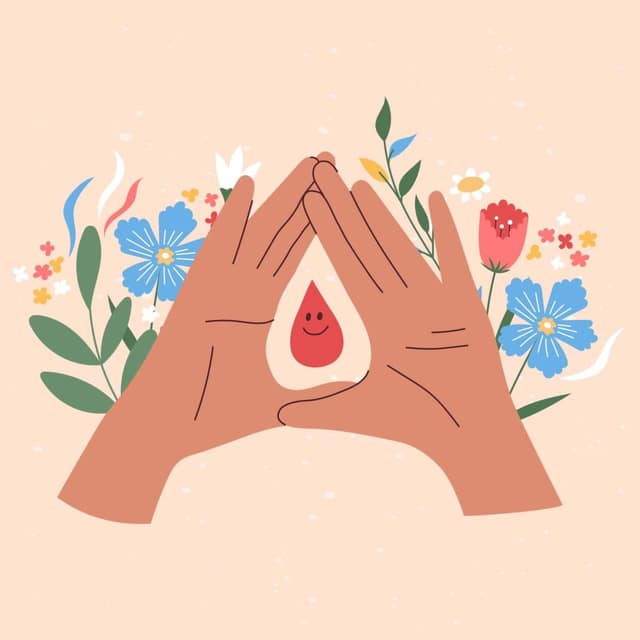 cycle menstruel pour tomber enceinte illustration des phases du cycle et période d’ovulation