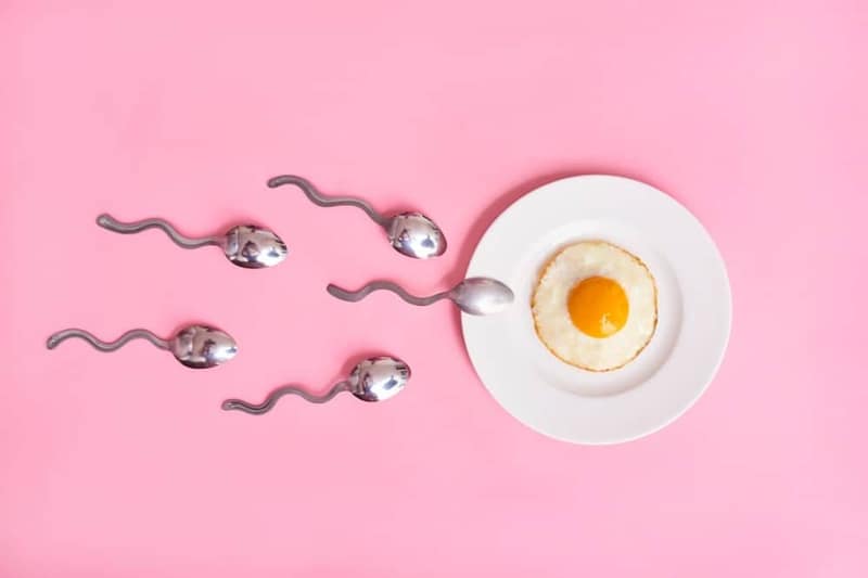 Illustration créative pour stimuler l'ovulation représentée par un œuf au plat et du sperme symbolique