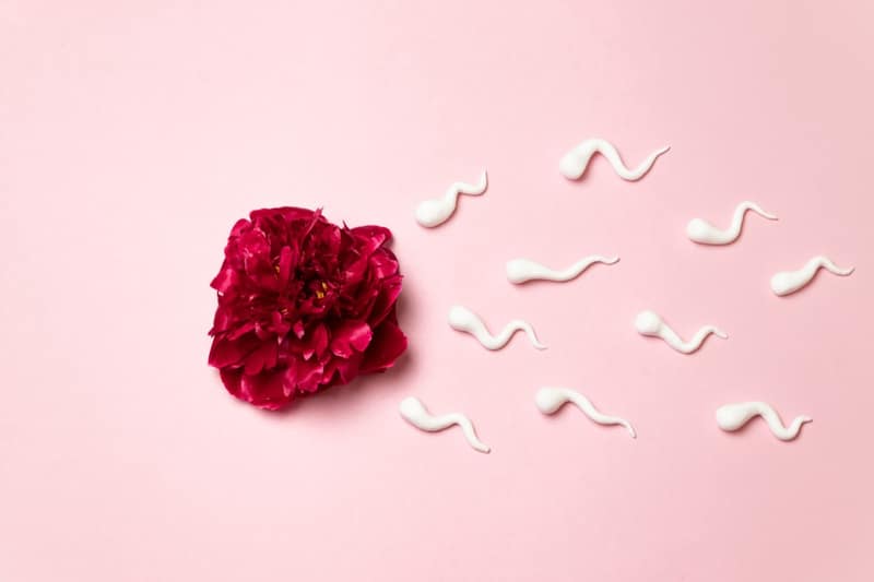 concept médical insémination artificielle fécondation in vitro
