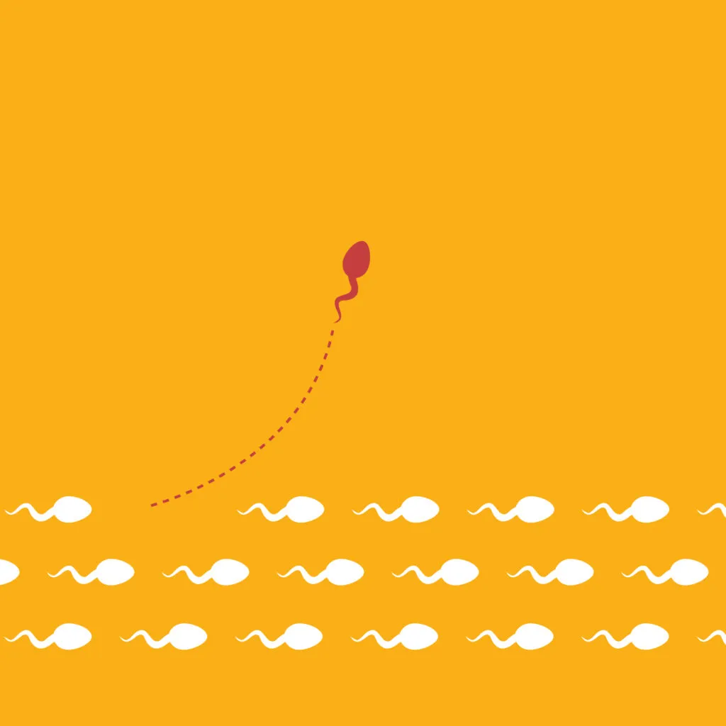 Illustration spermatozoïdes mouvement impact Cannabis et qualité du sperme