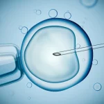 Vue microscopique d'une injection d'ovocyte en laboratoire illustrant le taux de réussite FIV