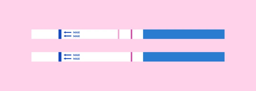Test d'ovulation deux bandelettes montrant un résultat négatif et un résultat positif pour détecter l’ovulation